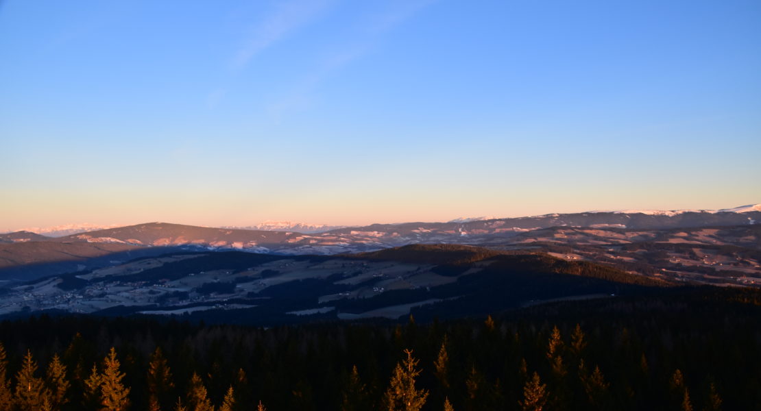 Wintersonnenwende auf der Wildwiese