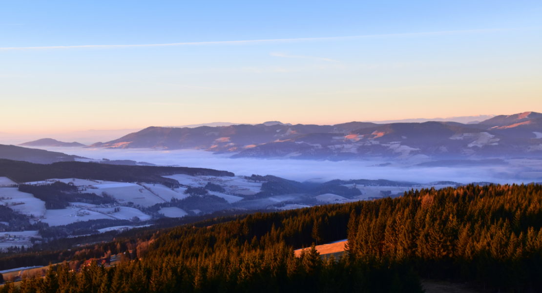 Wintersonnenwende auf der Wildwiese