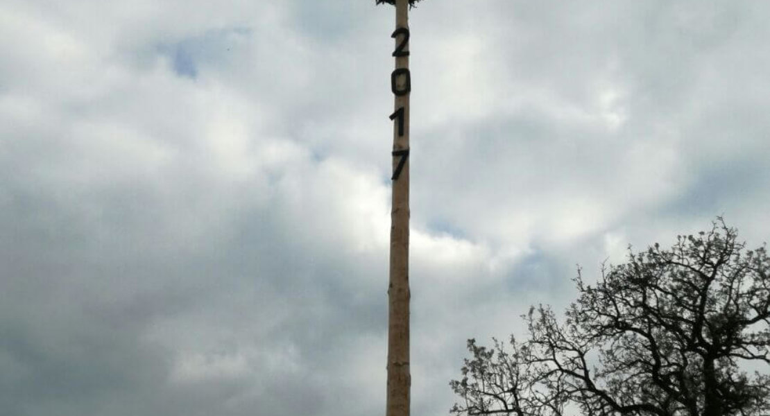 Landjugend – Maibaum aufstellen 2017 (4)