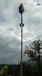 Landjugend - Maibaum aufstellen