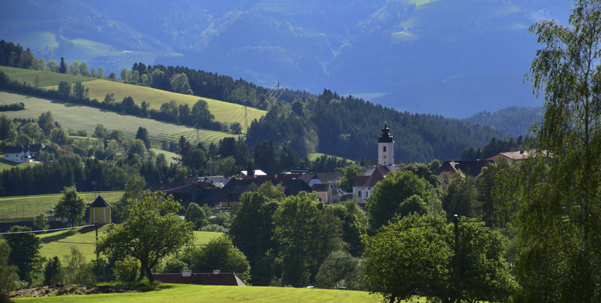 Ihre Teilnahme am Sommerfrisch-Gewinnspiel war erfolgreich!