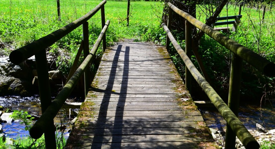 Wasserweg Miesenbach braucht Pflege