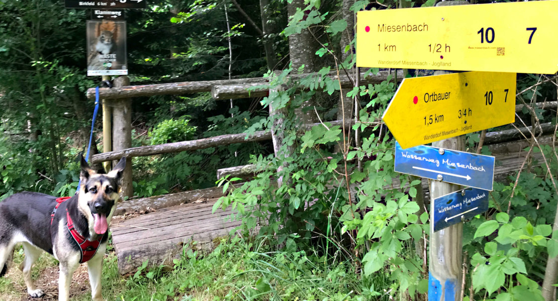 Der Große Miesenbach22