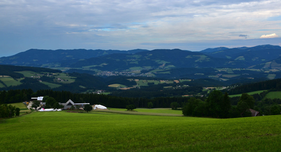 Der Große Miesenbach3a