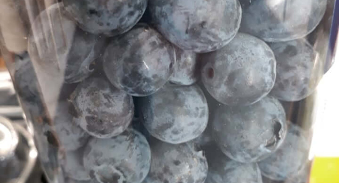 Heidelbeeren Aktion