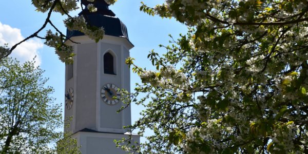 Kirche Miesenbach Frühjahr 2018