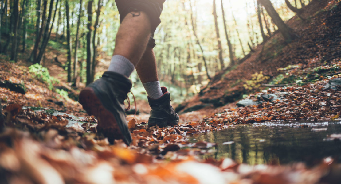 Fall hiking