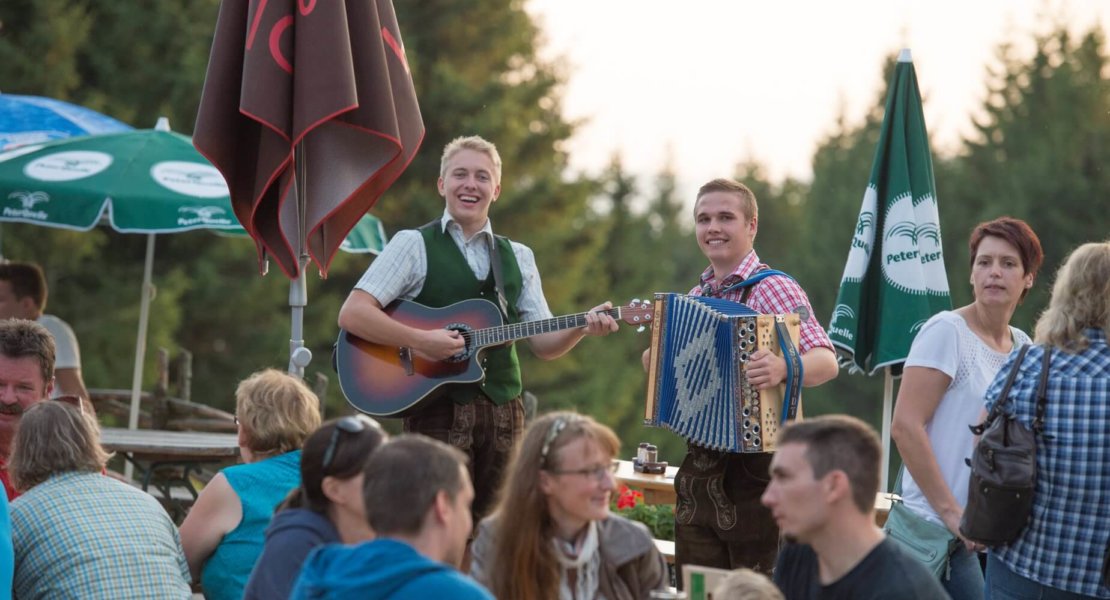 Grillerei Musik Wildwiesenhütte