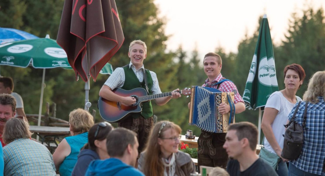 Grillerei Musik Wildwiesenhütte