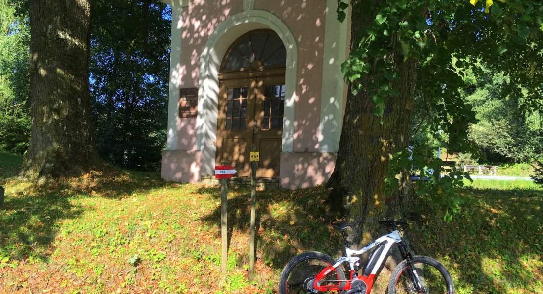 E_Bike Tour Miesenbach Walsdheimat (3)