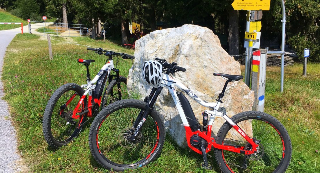 E_Bike Tour Miesenbach Walsdheimat (8)