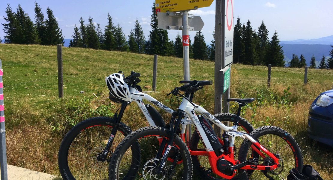 E_Bike Tour Miesenbach Walsdheimat (9)