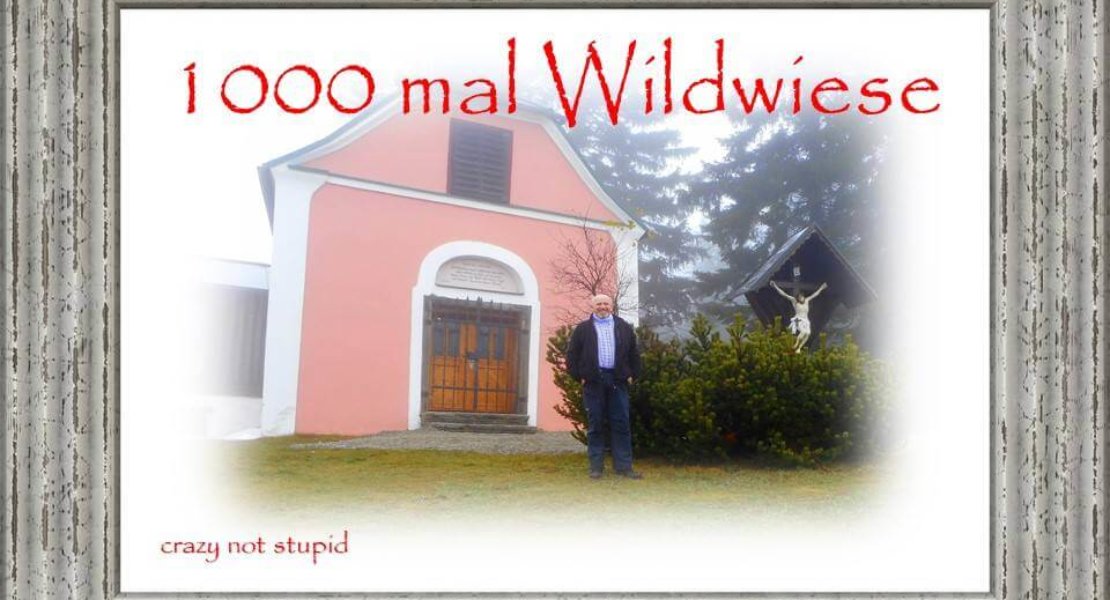 1000 mal auf die Wildwiese