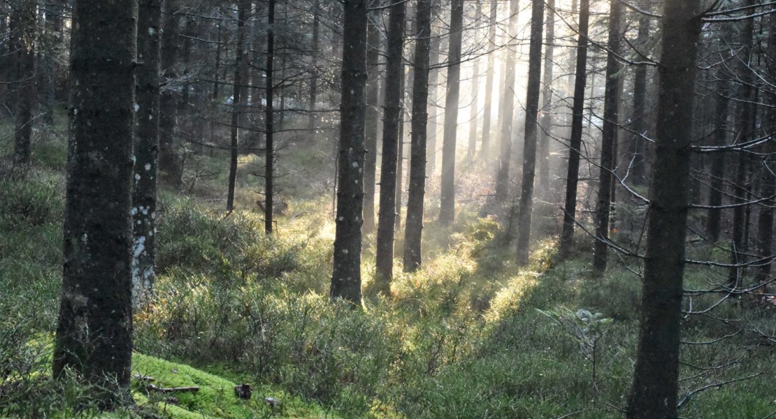 Wandern, wo die Natur in der Steiermark am schönsten ist.