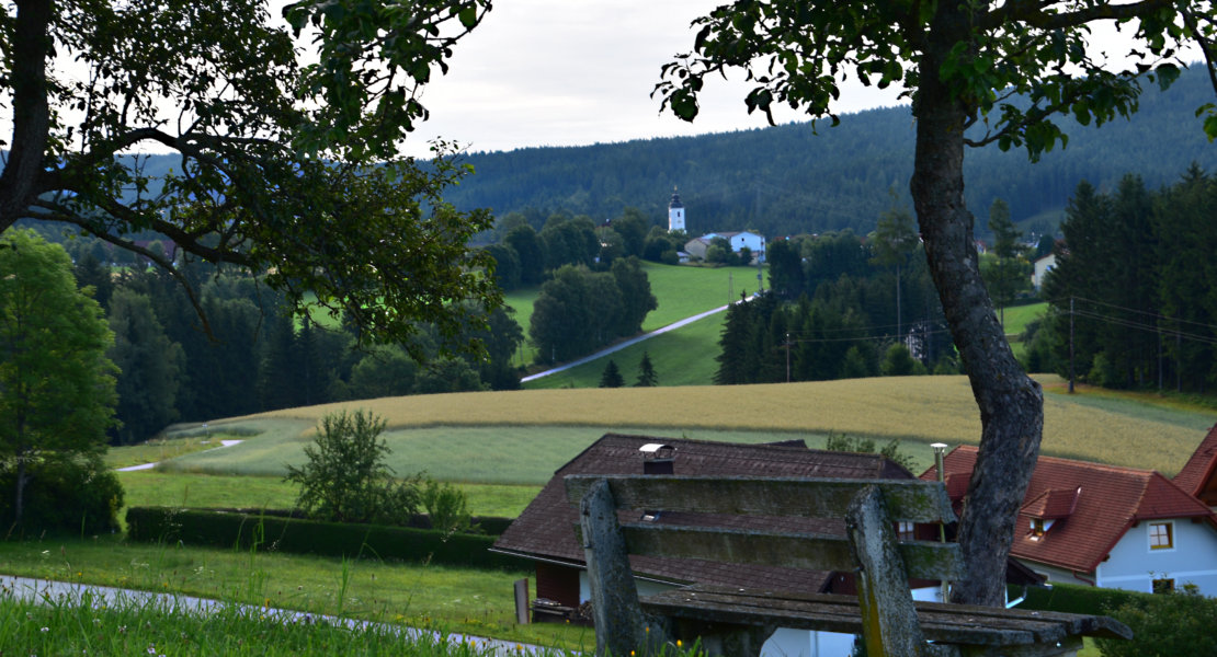 Der Große Miesenbach1