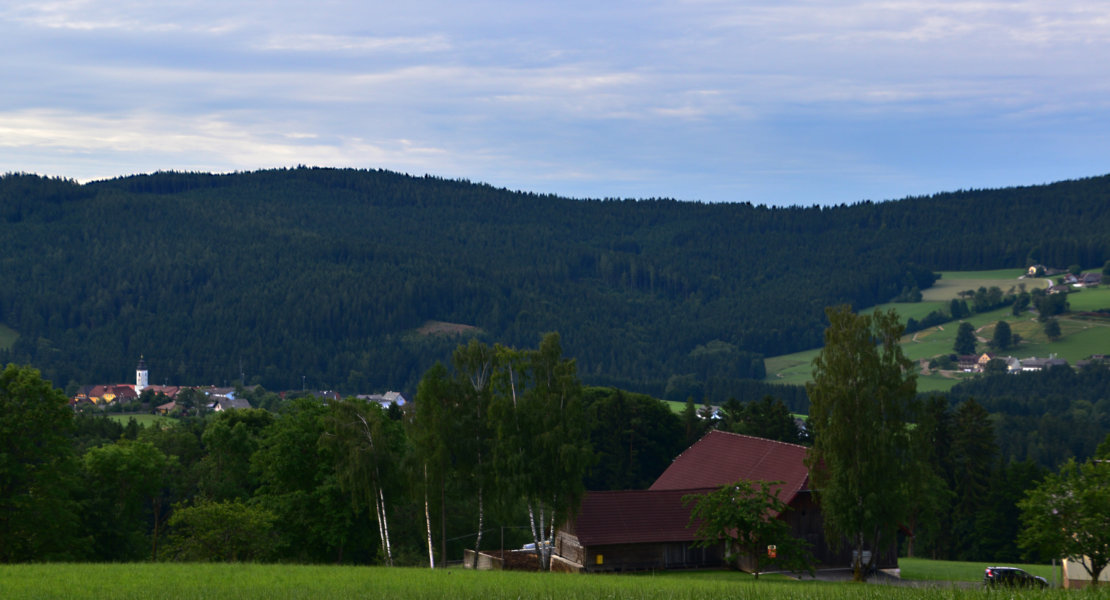 Der Große Miesenbach1a