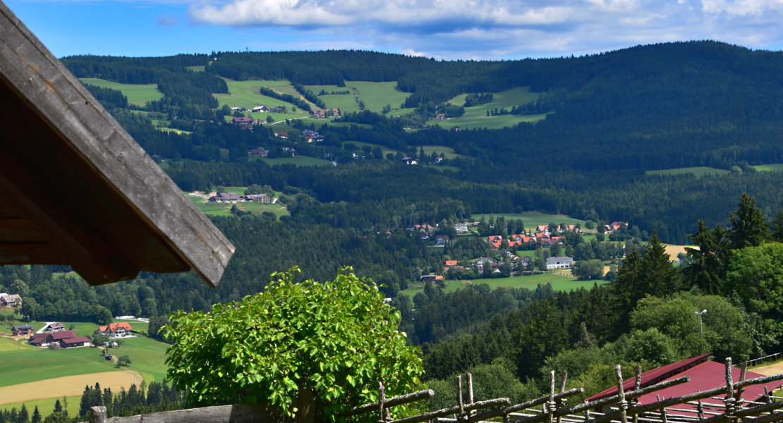 Der Große Miesenbach20