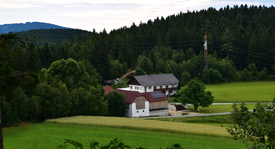 Der Große Miesenbach8a