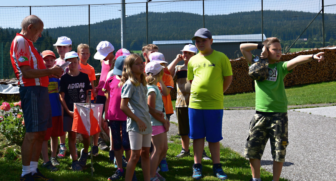 Orientierungslauf Volksschule Miesenbach17