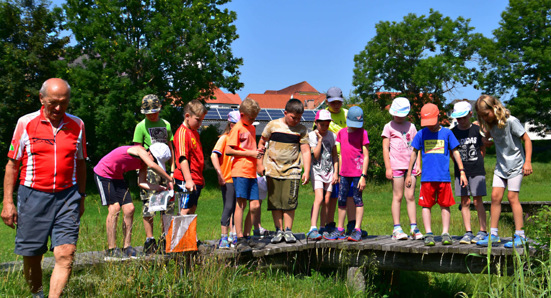 Orientierungslauf Volksschule Miesenbach 16