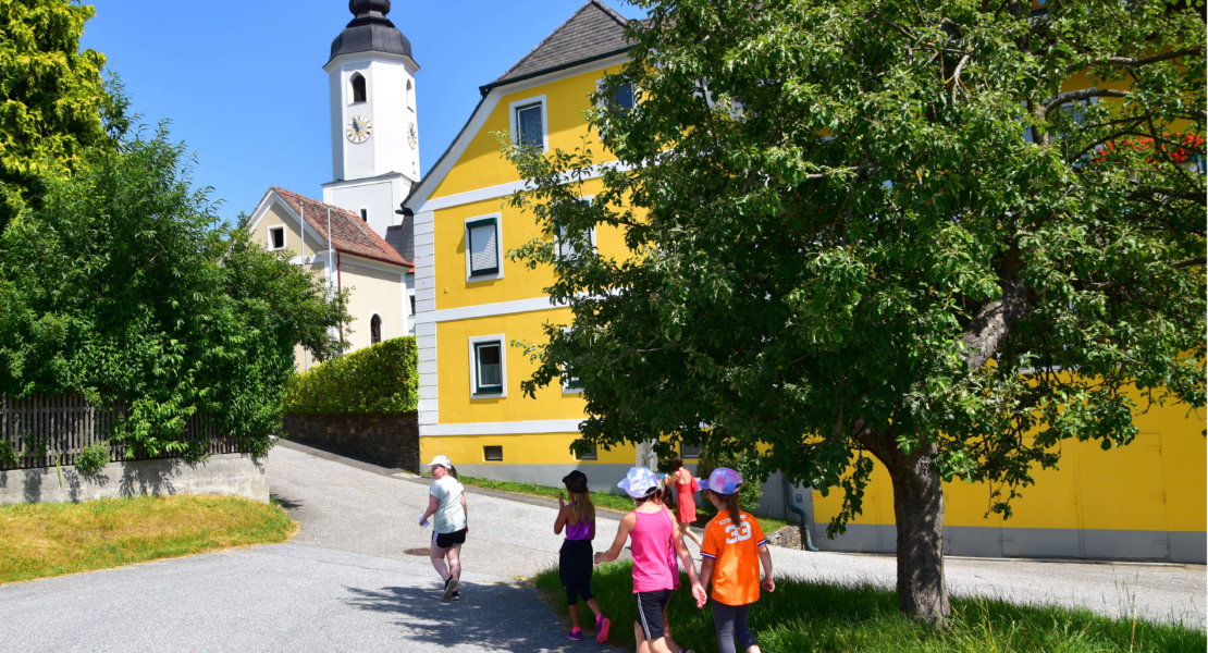 Orientierungslauf Volksschule Miesenbach14