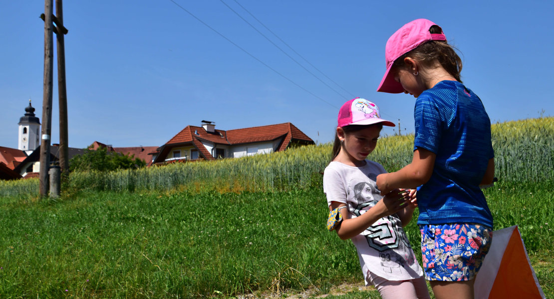 Orientierungslauf Volksschule Miesenbach 10