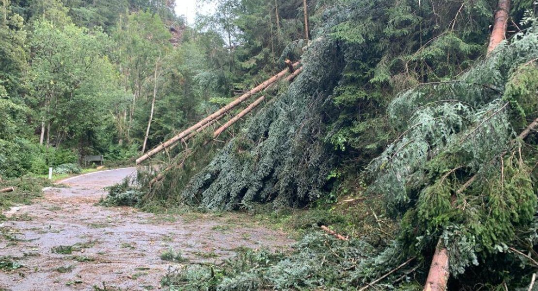 Sperre der L 405 zwischen Miesenbach-Birkfeld – Sanierung Hinterleitenweg