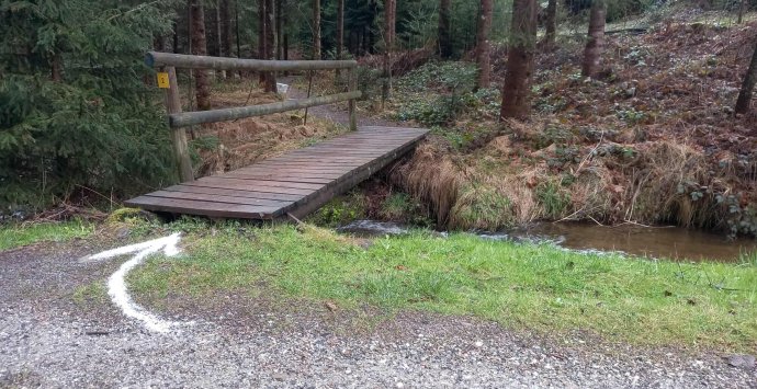 Das war der Familienwandertag des ÖKB Miesenbach