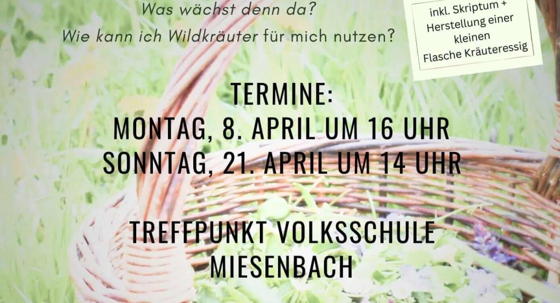 Wildkräuterspaziergänge April 2024