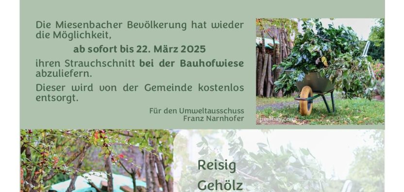 Kostenlose Strauchschnittsammlung