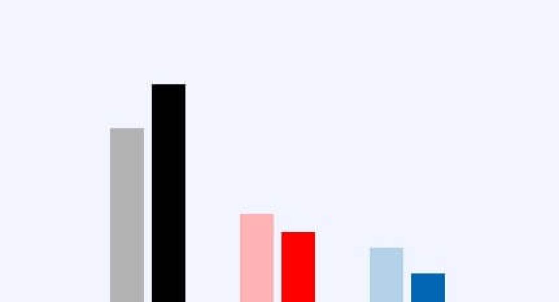 Wahlergebnis