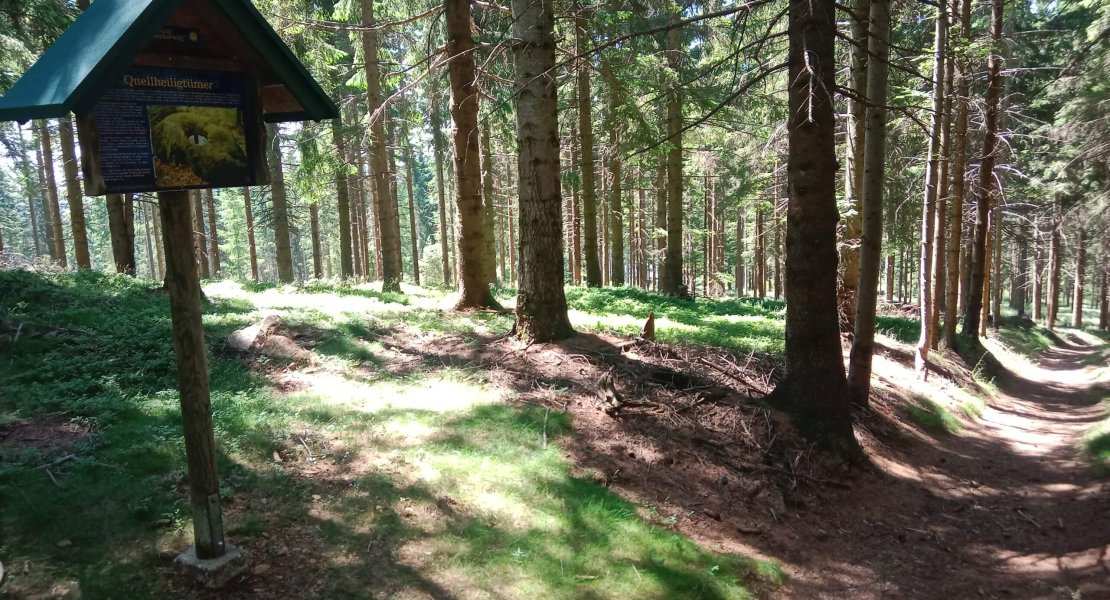 Wildwiese – Eröffnung des neugestalteten Kultwanderweges