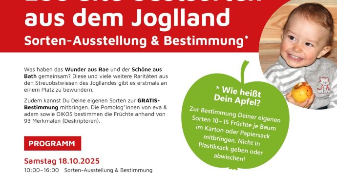 Ausstellung alter Obstsorten aus dem Joglland und kostenlose Bestimmung