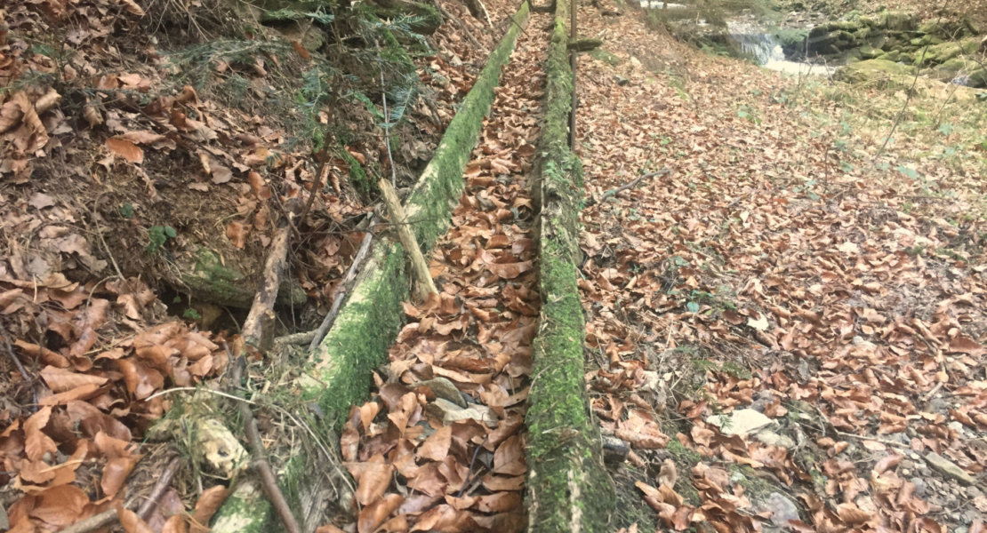 wasserzulauf-hornschmiedmuehle-2