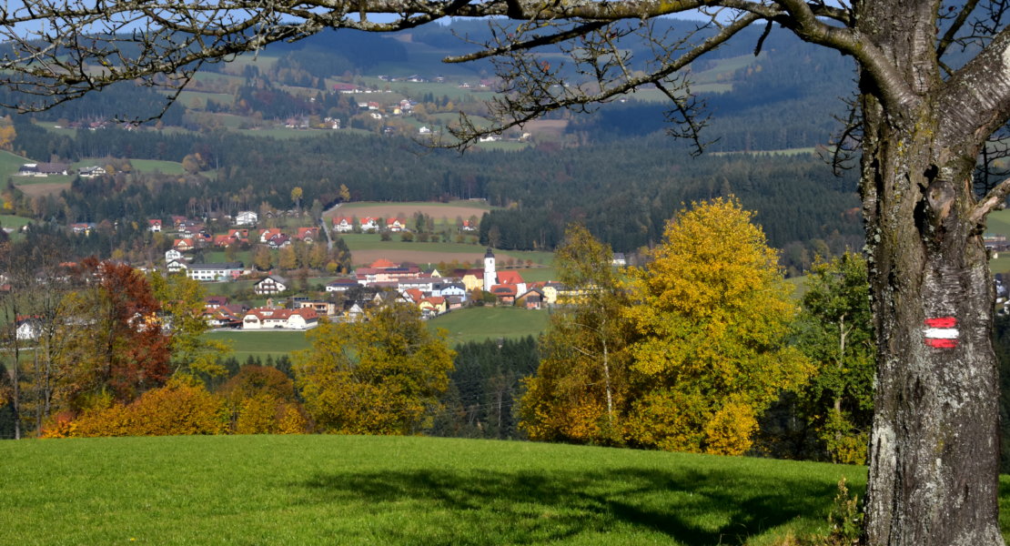 Steirisch geniessen: Die Miesenbacher Herbstwochen 2017