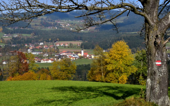 Steirisch geniessen: Die Miesenbacher Herbstwochen 2017