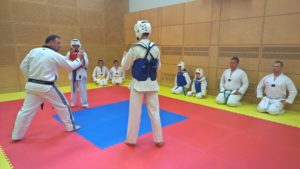 Tae Kwon Do Miesenbach Wettkampffläche