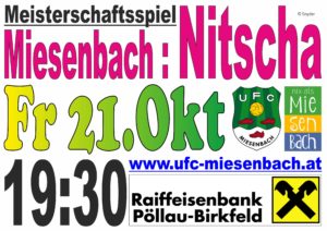 Letzes Heimspiel 2016 gegen Nitscha